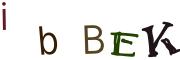 Obrázková CAPTCHA