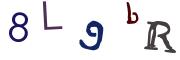 Obrázková CAPTCHA