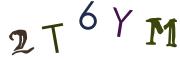 Obrázková CAPTCHA
