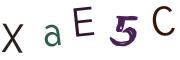 Obrázková CAPTCHA