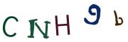 Obrázková CAPTCHA