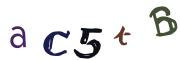 Obrázková CAPTCHA