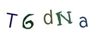 Obrázková CAPTCHA