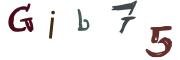 Obrázková CAPTCHA