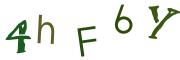 Obrázková CAPTCHA