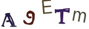 Obrázková CAPTCHA