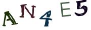 Obrázková CAPTCHA