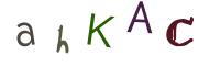 Obrázková CAPTCHA