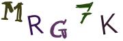 Obrázková CAPTCHA