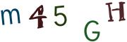 Obrázková CAPTCHA
