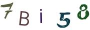 Obrázková CAPTCHA