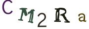 Obrázková CAPTCHA