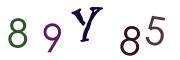 Obrázková CAPTCHA