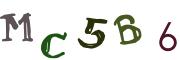 Obrázková CAPTCHA