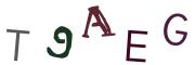 Obrázková CAPTCHA