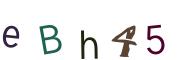 Obrázková CAPTCHA