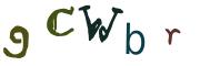 Фото-CAPTCHA