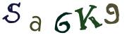 Фото-CAPTCHA
