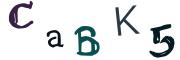 Фото-CAPTCHA