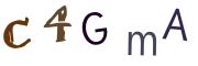 Фото-CAPTCHA