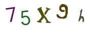 Фото-CAPTCHA