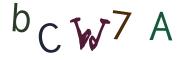 Фото-CAPTCHA