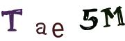Фото-CAPTCHA