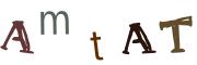 Фото-CAPTCHA