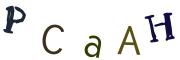 Фото-CAPTCHA