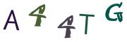Фото-CAPTCHA