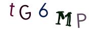 Фото-CAPTCHA