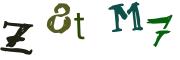 Obrázkové CAPTCHA