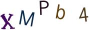 Obrázkové CAPTCHA