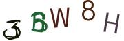 Obrázkové CAPTCHA