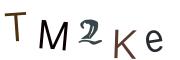 Obrázkové CAPTCHA