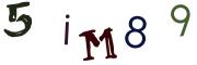 Obrázkové CAPTCHA