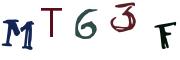 Obrázkové CAPTCHA