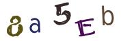 Obrázkové CAPTCHA