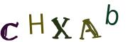 Obrázkové CAPTCHA