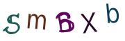 Vaizdinė CAPTCHA užduotis