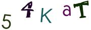 Vaizdinė CAPTCHA užduotis
