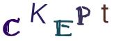 Vaizdinė CAPTCHA užduotis
