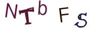 Vaizdinė CAPTCHA užduotis