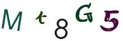 Vaizdinė CAPTCHA užduotis