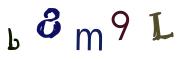 Vaizdinė CAPTCHA užduotis