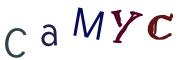 Vaizdinė CAPTCHA užduotis