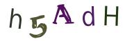 Vaizdinė CAPTCHA užduotis