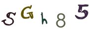 Vaizdinė CAPTCHA užduotis