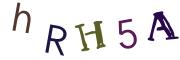 Graficzne pułapki CAPTCHA