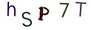 Graficzne pułapki CAPTCHA
